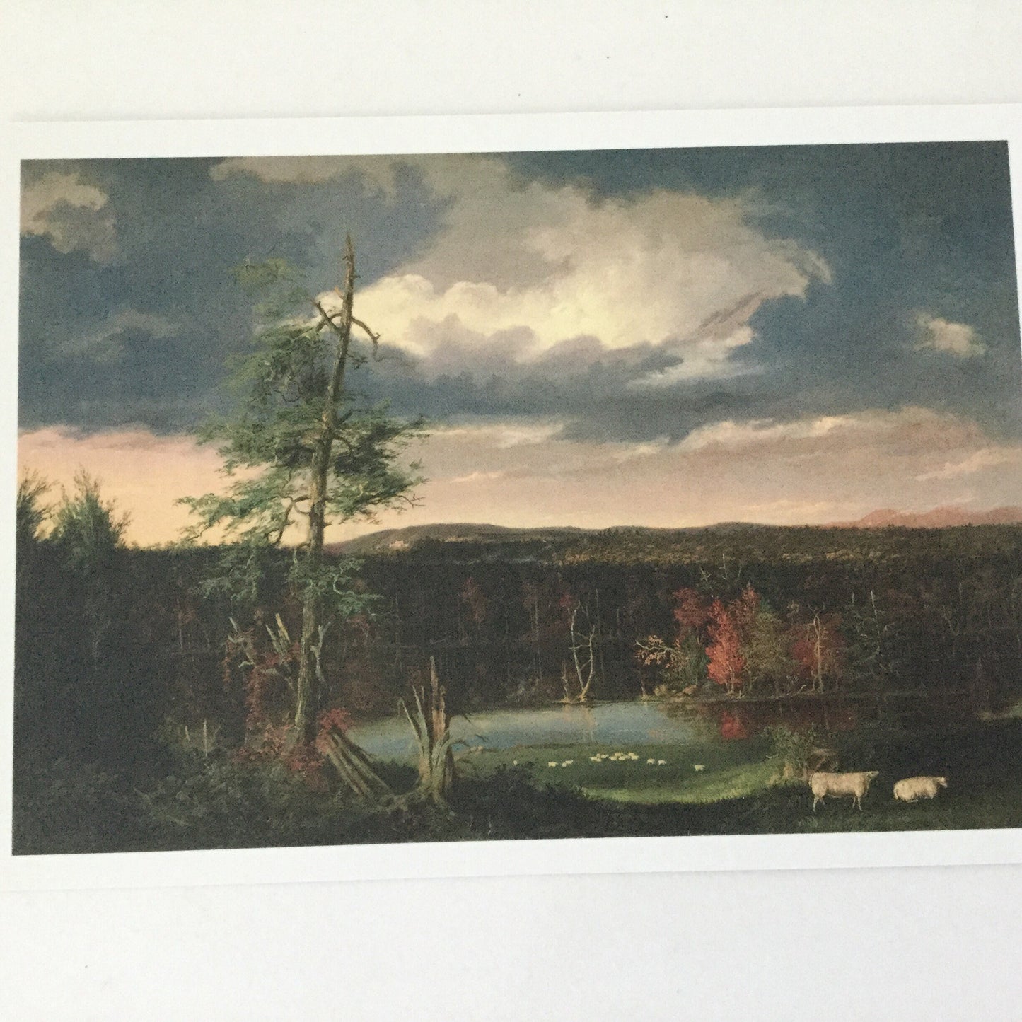 Art Postcard - Landscape by Thomas Cole - unused postcard - Australian art, AGNSW, reproduction