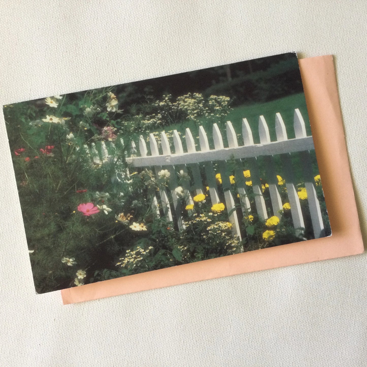 Pretty flowers and white picket fence blank greeting card with matching envelope, daisies, marigolds for gifts, scrapbooking, collage