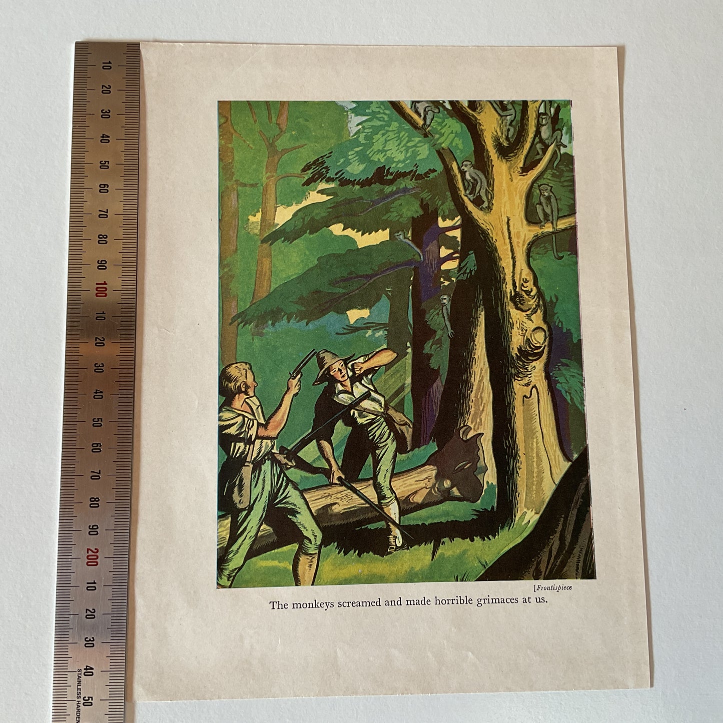 Two schoolboy annual book prints - The monkeys screamed, I reached the wreck - vintage paper for journal, collage, framing