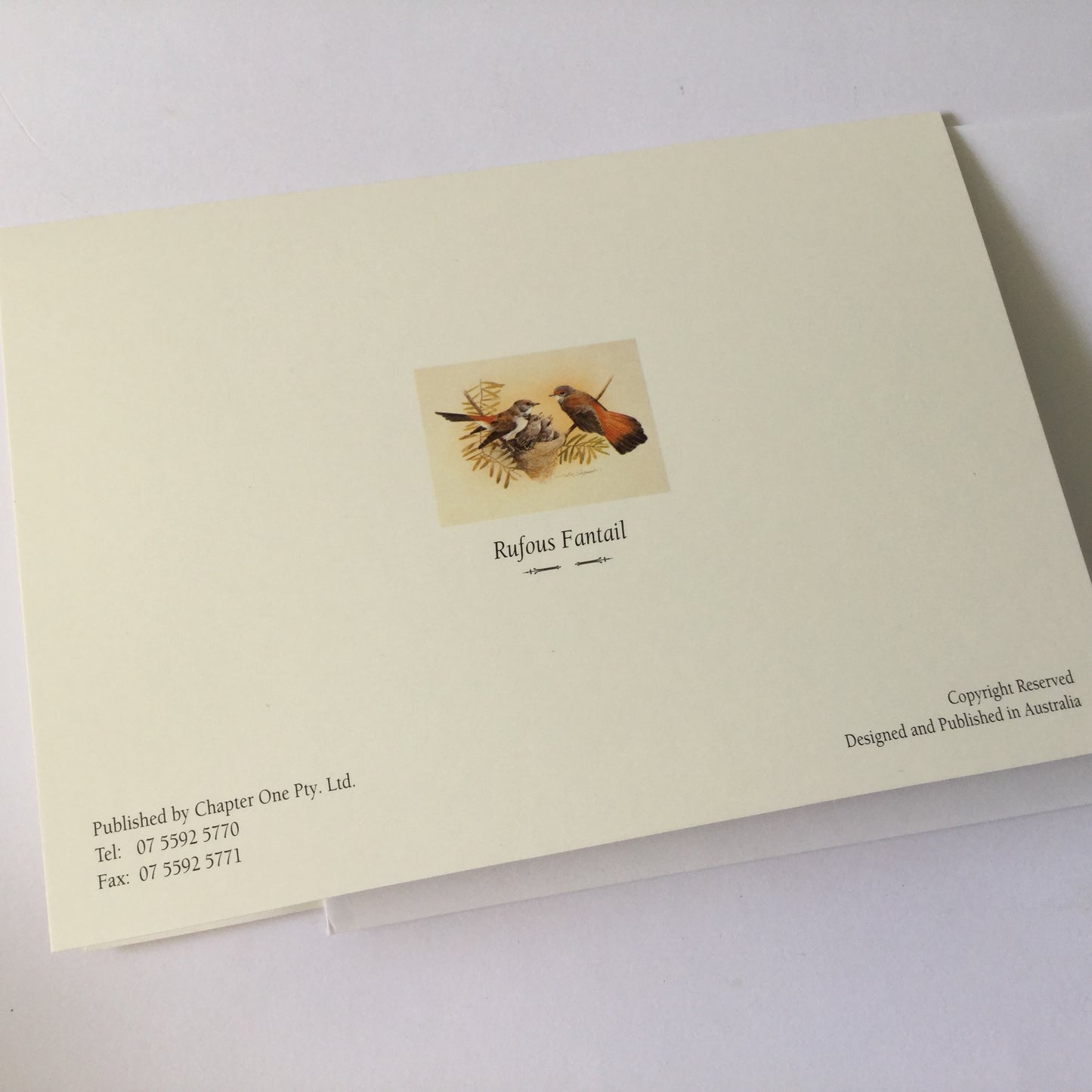 Pretty birds "Rufous Fantail" blank greeting card with matching envelope, native birds