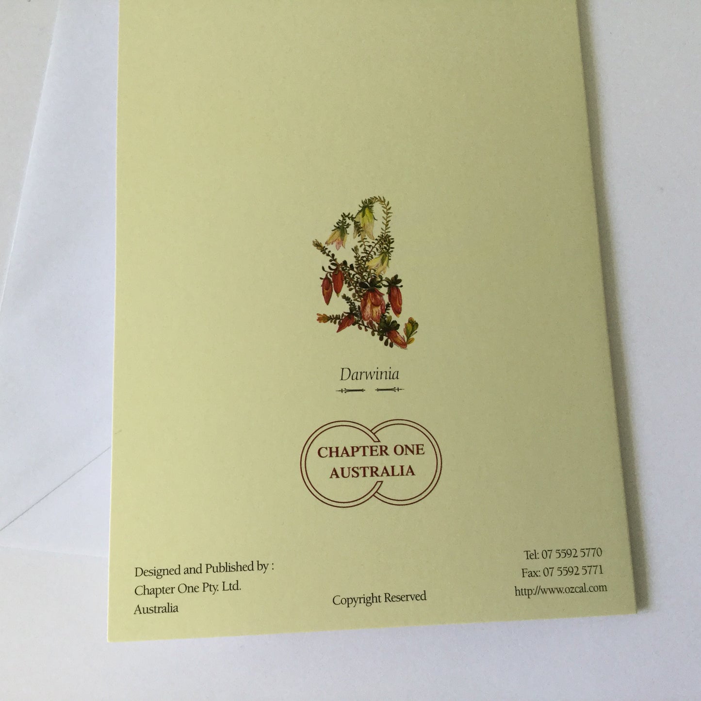 Pretty flowers "Darwinia" blank greeting card with matching envelope, native Australian flowers