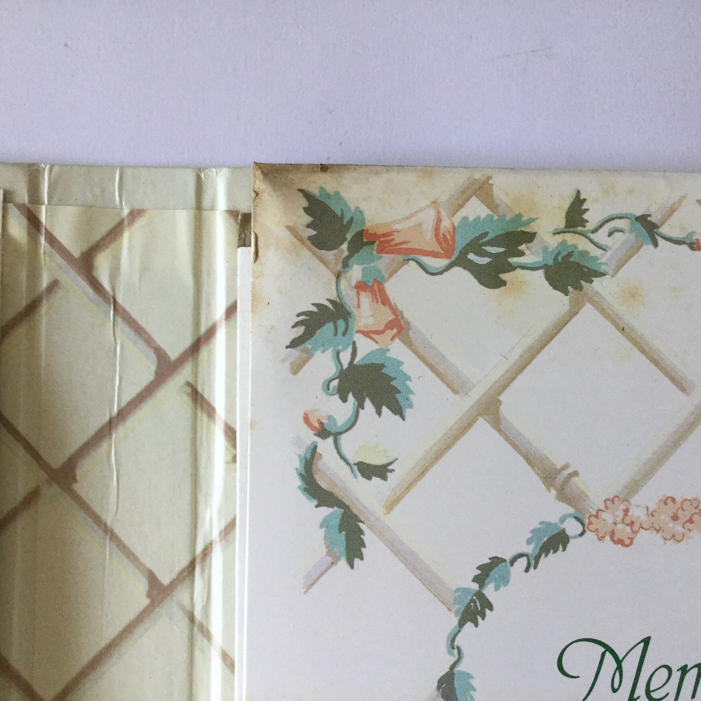 Telephone book and memo pad - classic notebook for name, address, phone number, contacts and notes