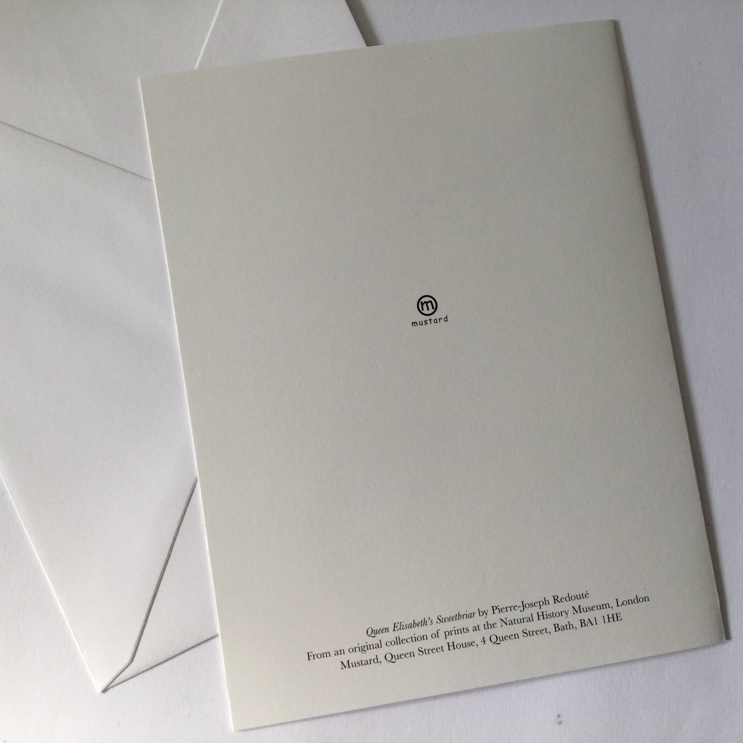 Redoute Rose blank greeting card with envelope, "Queen Elisabeth's Sweetbriar"