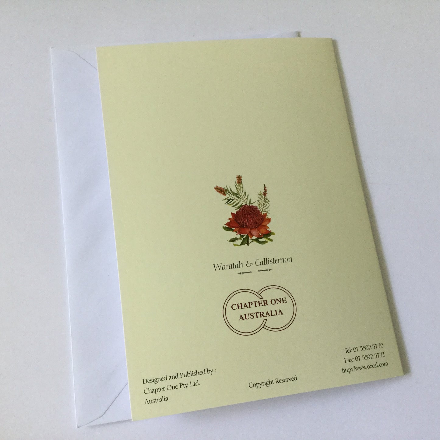 Pretty flowers "Waratah and Callistemon" blank greeting card with matching envelope, native Australian flowers