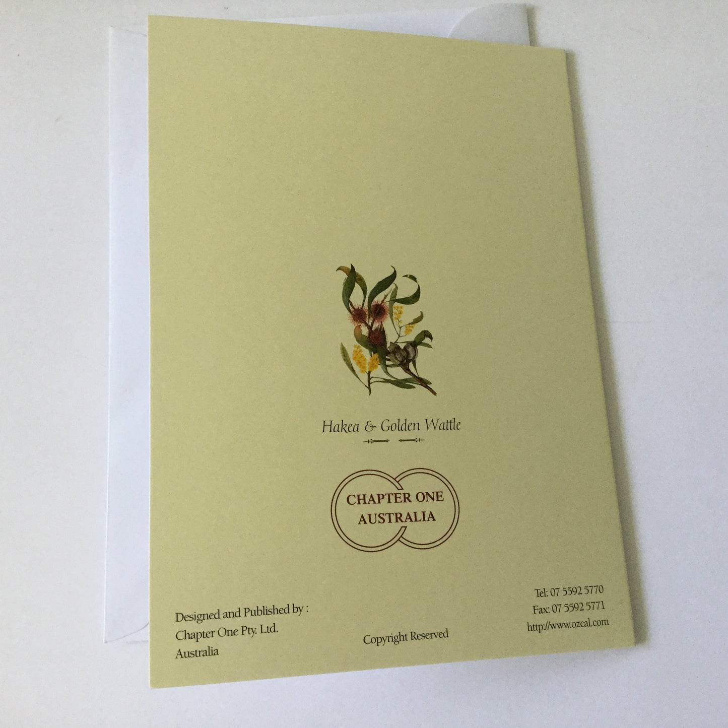 Pretty flowers "Hakea and Golden Wattle" blank greeting card with matching envelope, native Australian flowers