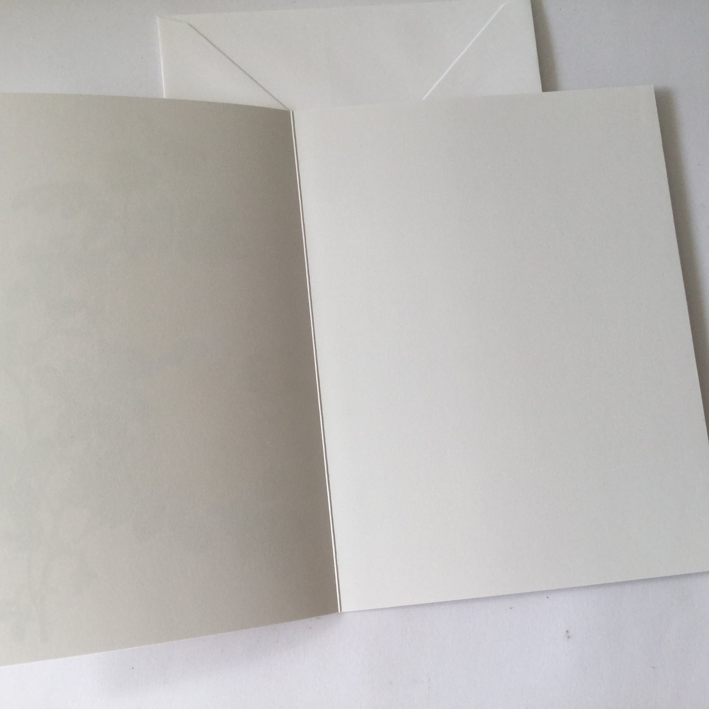 Redoute Rose blank greeting card with envelope, "Sulphur Rose"