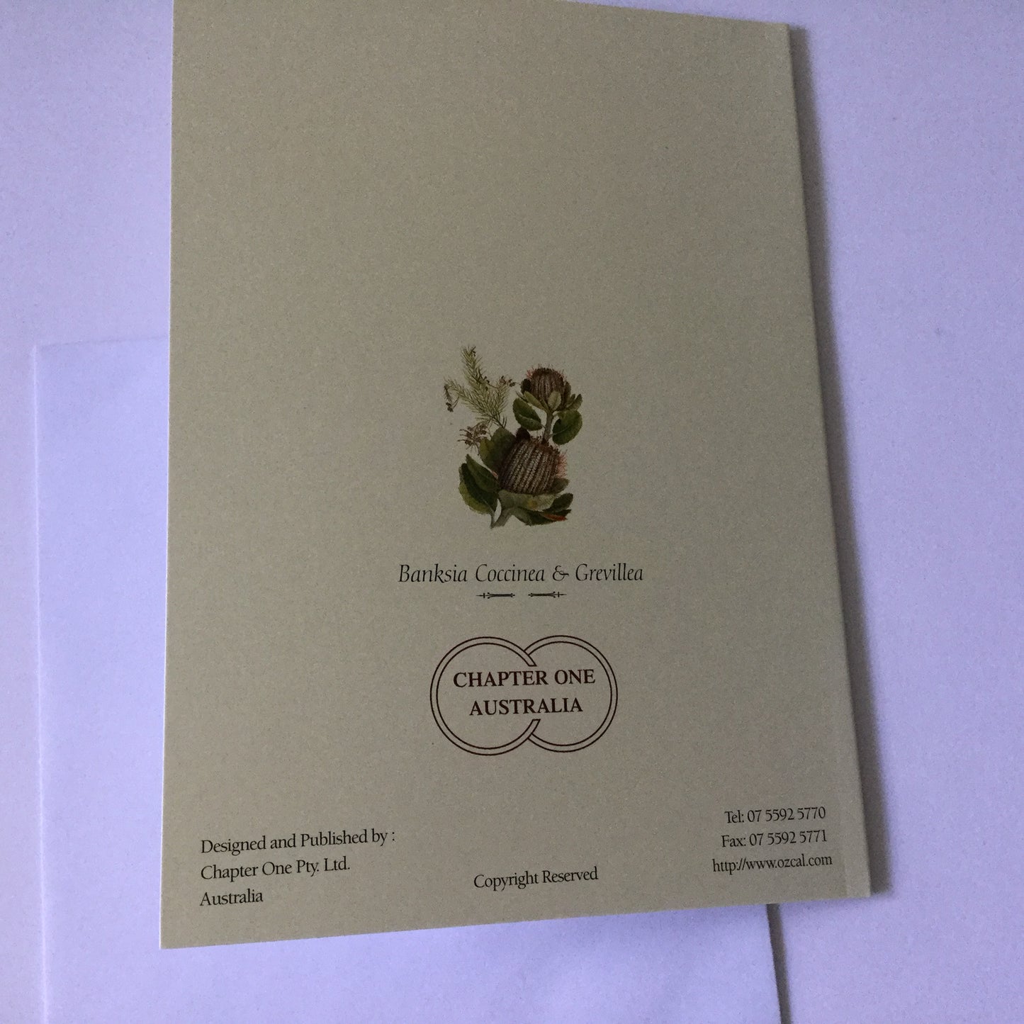 Pretty flowers "Banksia Coccinea and Grevillea" blank greeting card with matching envelope, native Australian flowers