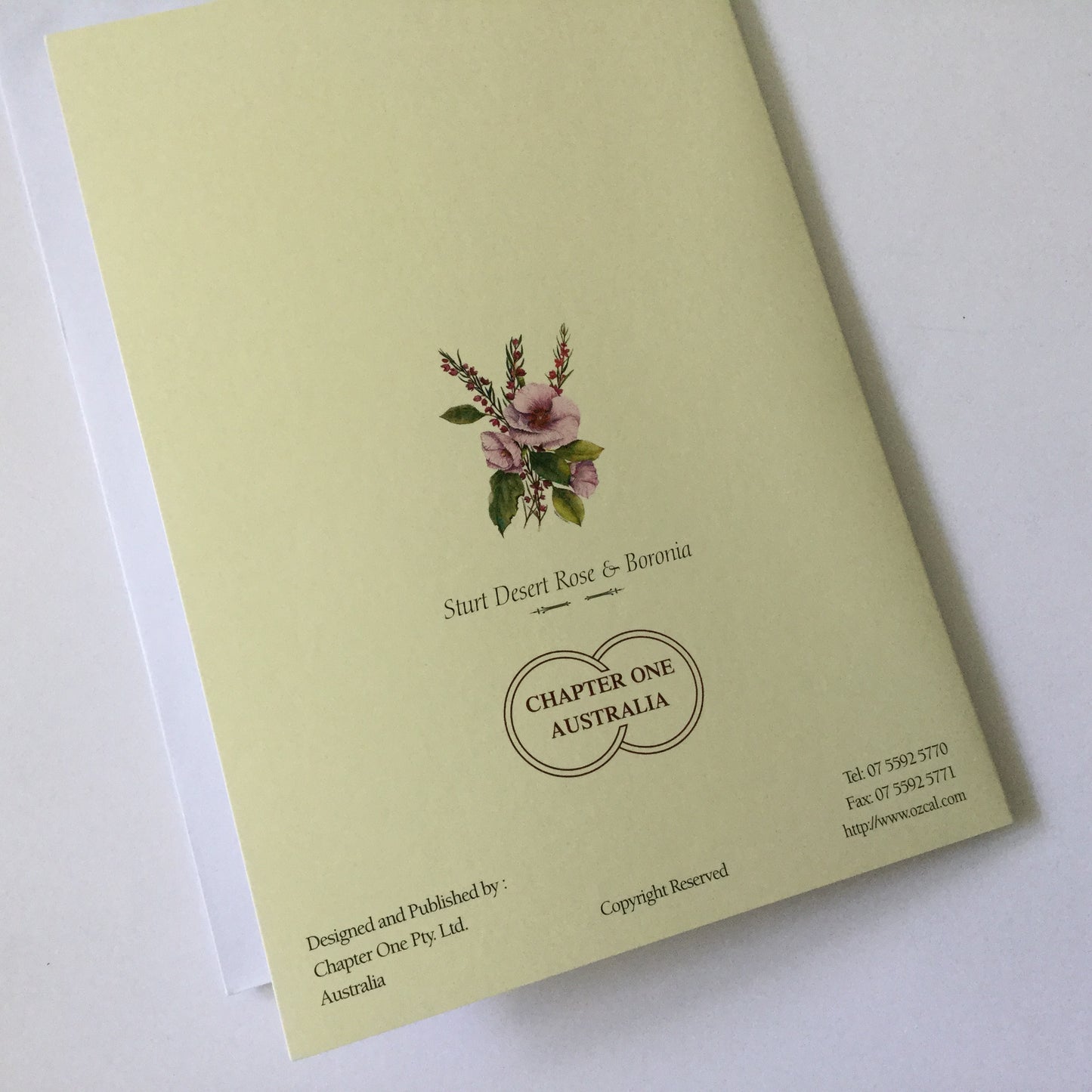 Pretty flowers "Sturt Desert Rose & Boronia" blank greeting card with matching envelope, native Australian flowers
