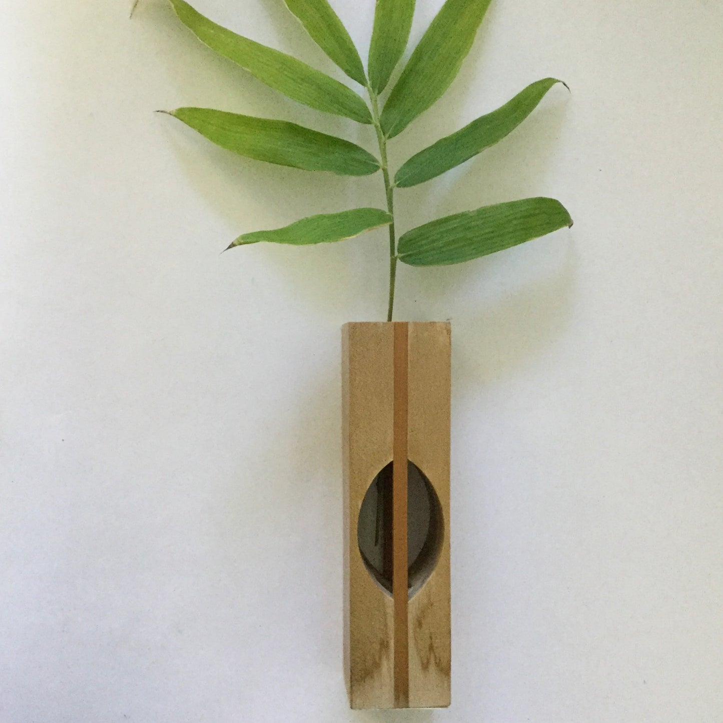 Wooden Tasmanian candle holder - hand carved natural wood candle stand or branch, dried flower holder - Australiana - 70s or 80s