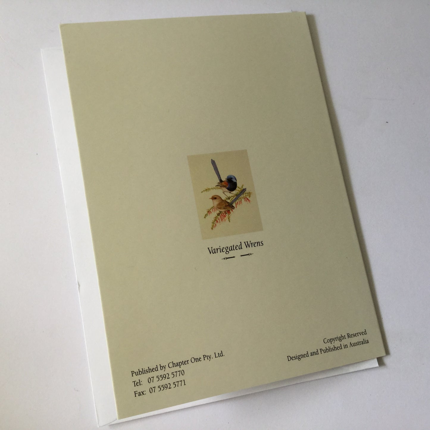 Pretty birds "Variegated Wrens" blank greeting card with matching envelope, native birds