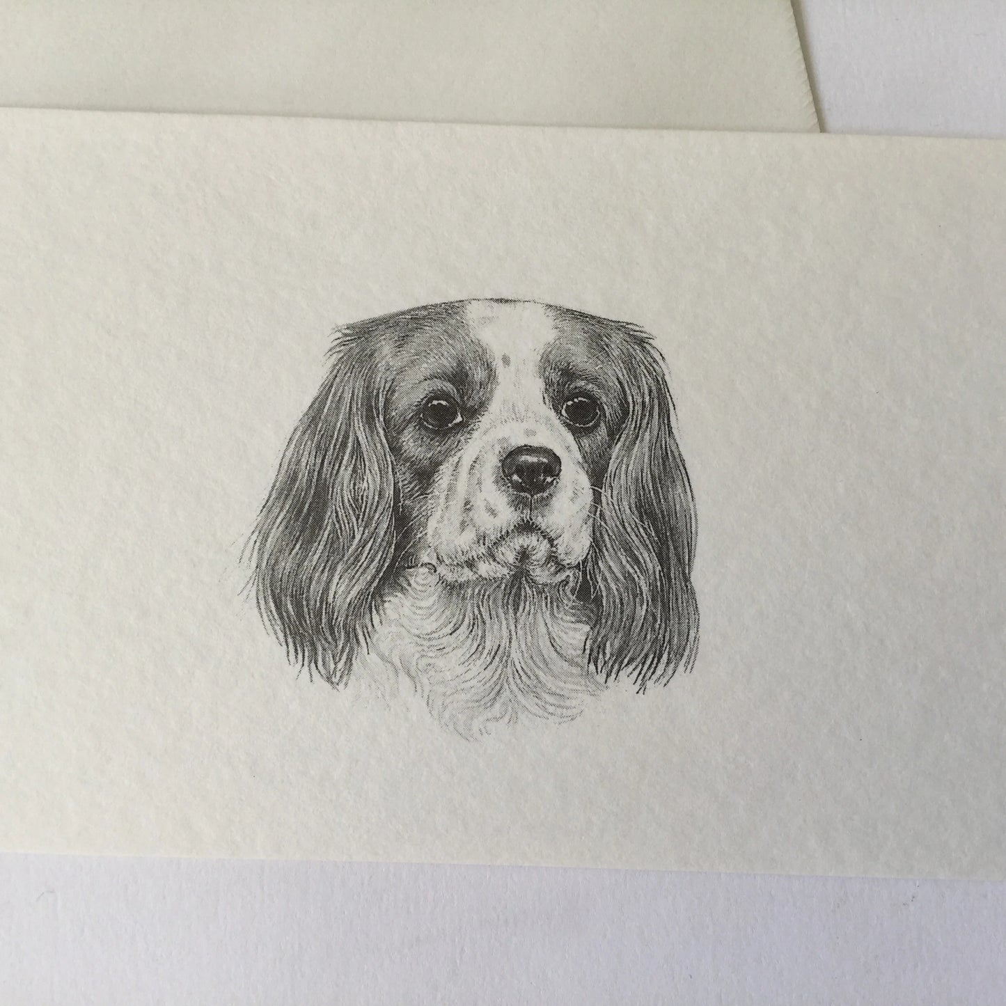 Cavalier King Charles Spaniel blank gift card with envelope - snail mail, love letters, friendship, dog, dog lover