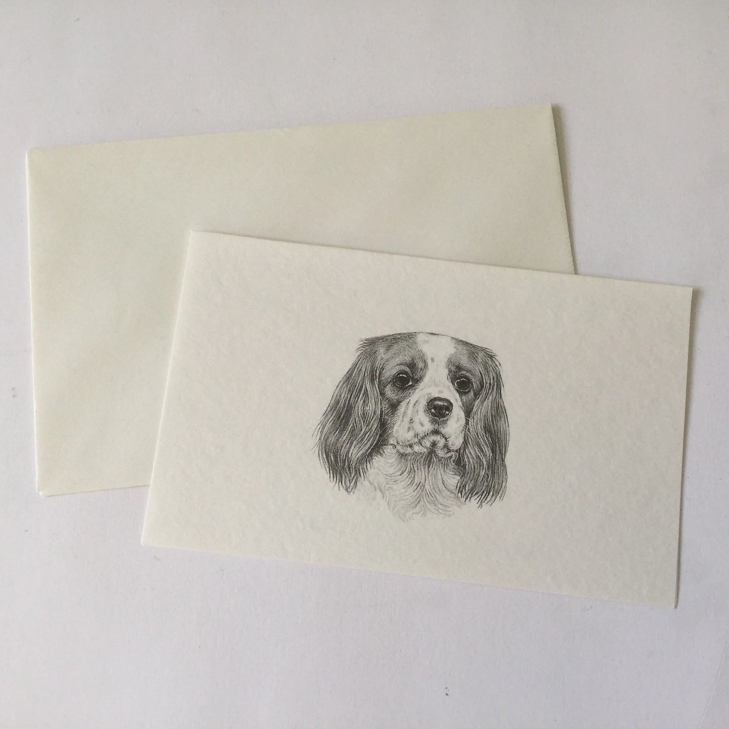 Cavalier King Charles Spaniel blank gift card with envelope - snail mail, love letters, friendship, dog, dog lover