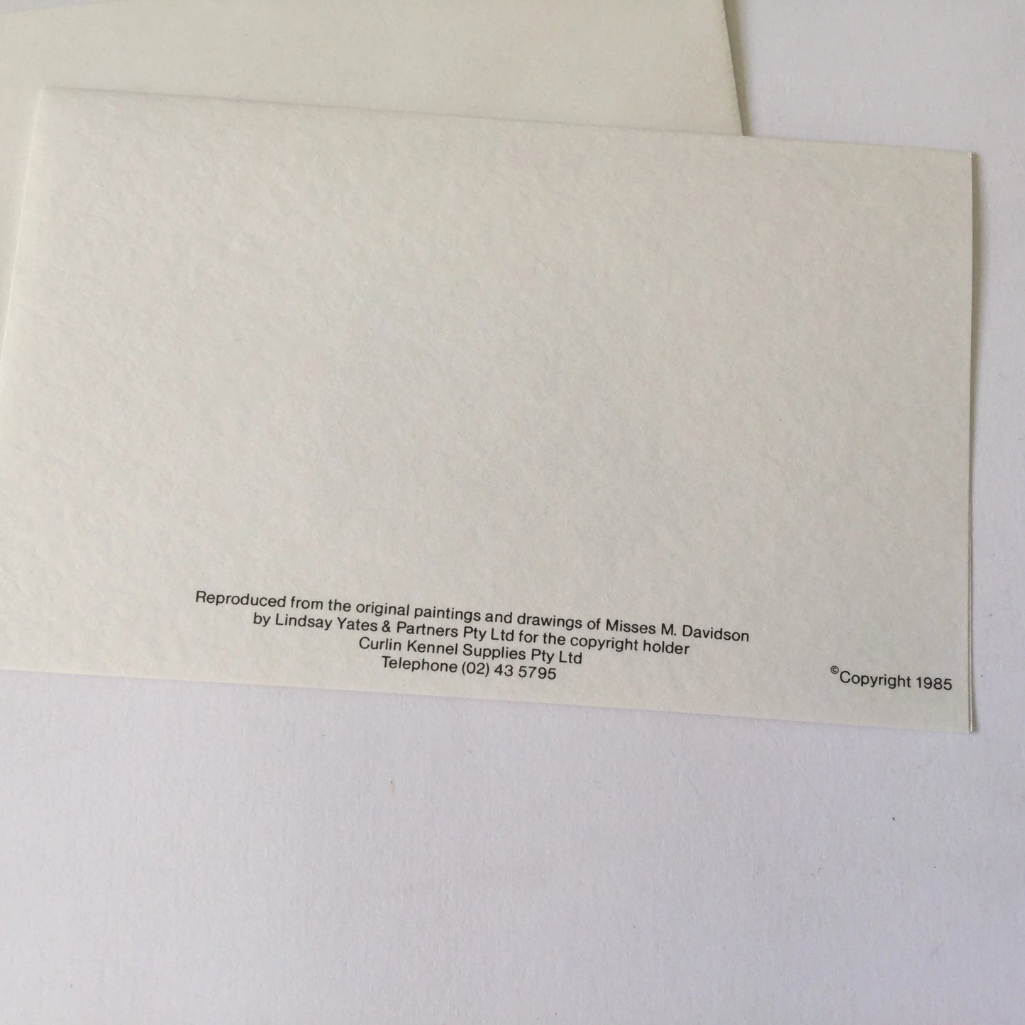 Cavalier King Charles Spaniel blank gift card with envelope - snail mail, love letters, friendship, dog, dog lover